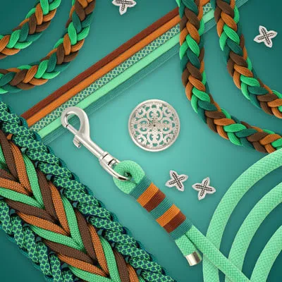 Leine und Halsband in grün und braun