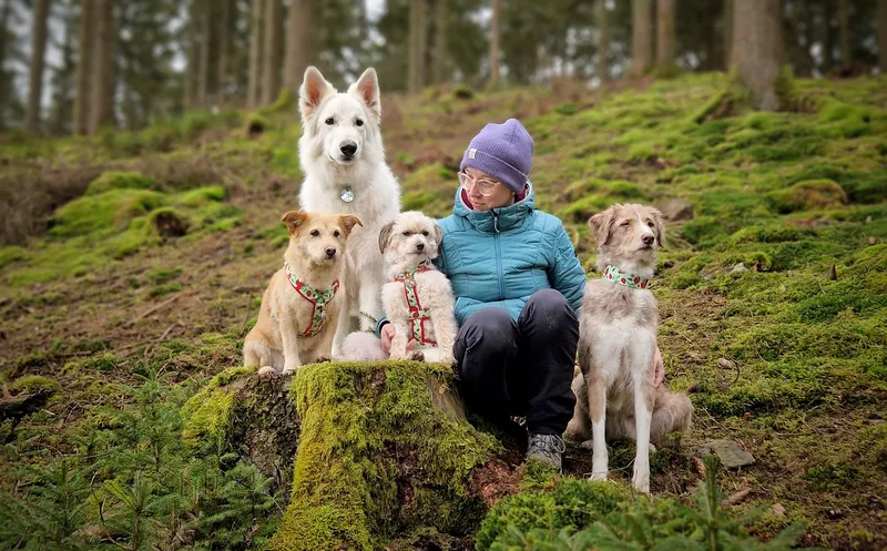 Louise de Bruyne und ihre vier Hunde in einem Wald