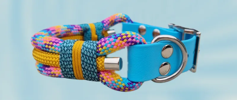 Halsband aus Seil und Biothane in blau und gelb