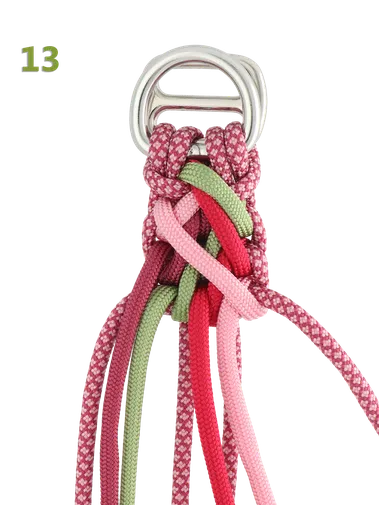 Paracord Typ III Hundehalsband